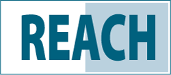 Reach Logo